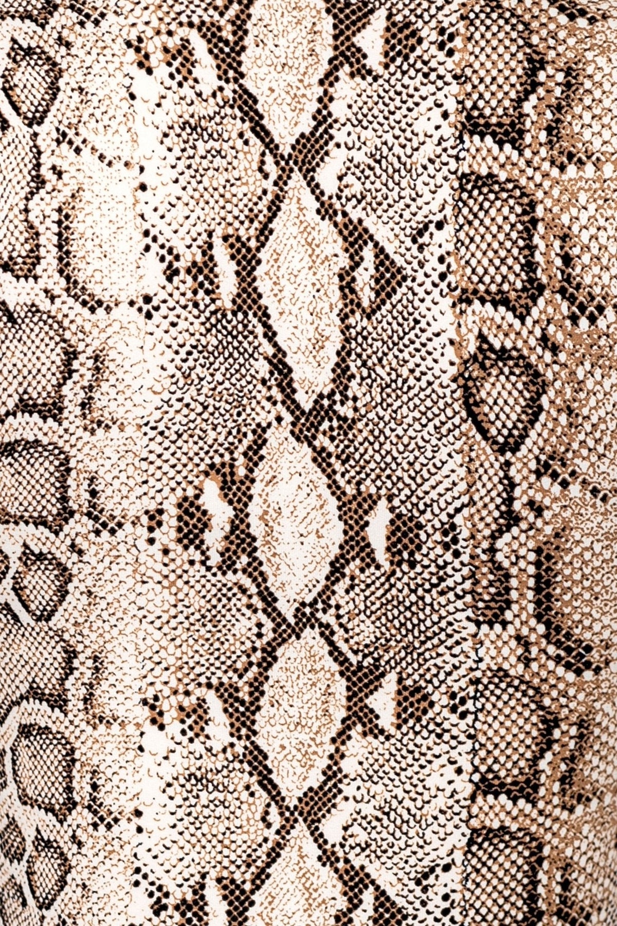 Snake Print Matching Set ā Crop Top & Low Rise Mini Skirt for Women